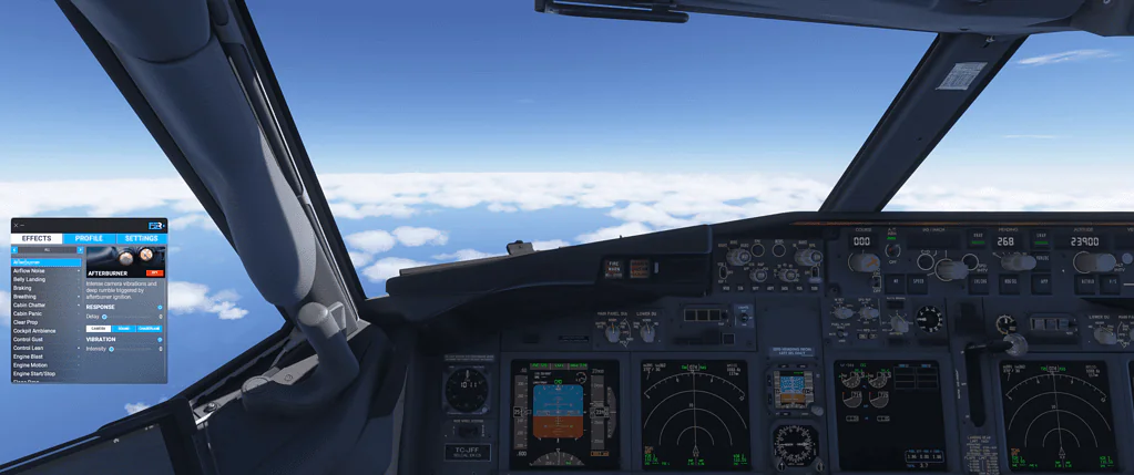 PMDG 737/800 FSREAKISTIC Effects