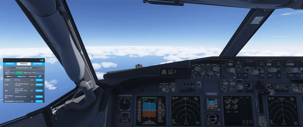 PMDG 737/800 FSREAKISTIC Profile