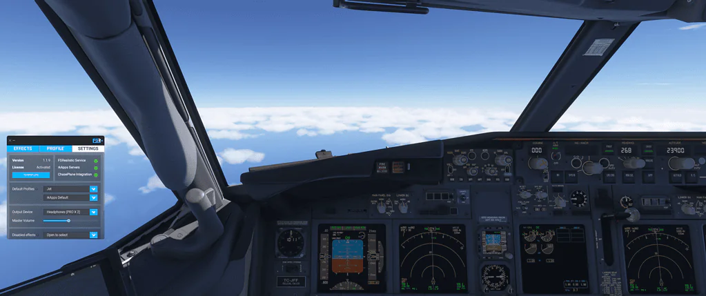 PMDG 737/800 FSREAKISTIC Settings